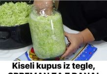 Kiseli kupus u tegli, spreman za 7 dana! Prepuna vitamina, prirodnih probiotika i lijekova!