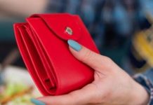 Koje je boje vaš novčanik – ovisi o tome imate li novca: Feng Shui savjeti za privlačenje bogatstva