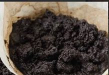 Kada čujete o upotrebi taloga od kafe, cijenit ćete ga kao zlato: iz 2 snažna razloga!