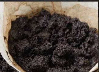 Kada čujete o upotrebi taloga od kafe, cijenit ćete ga kao zlato: iz 2 snažna razloga!