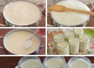 Domaći gusti dvostruki jogurt bolji je od kupovnog