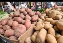 Stručnjaci otkrili što je bolje, crveni ili bijeli krumpir: Velika razlika, a ovaj je zdraviji