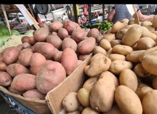 Stručnjaci otkrili što je bolje, crveni ili bijeli krumpir: Velika razlika, a ovaj je zdraviji