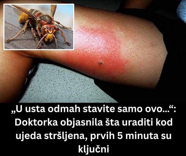 509418831_122155541408435682_8036087985738538262_n