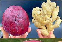 Prirodna bomba za čišćenje jetre i krvnih sudova: 4 moćna sastojka!