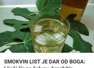 Smokvino lišće dar je od Boga: liječi čir na želucu, bronhitis, kožne bolesti i još mnogo toga! Ovako se pravi