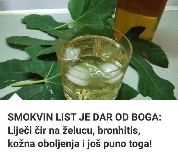 485950036_1052344450261270_7094250686336237892_n