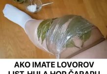 Ako imate lovorov list, možete napraviti hula čarape! Otkrijte tajnu, iznenadit će vas