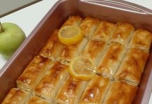 DOŽIVITE UKUS JABUKOVAČE – NAJBOLJI IKADA RECEPT