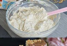 Plazma kocke sladoleda…brzo, jednostavno i osvježavajuće…