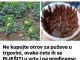 Ne kupujte otrov za puževe u trgovini, ovako ćete se riješiti puževa u vrtu i gredicama: Imam čisto cijelo dvorište, nema kemikalija!