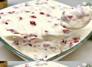 Sada pišem ovo je najbolji recept za domaći sladoled