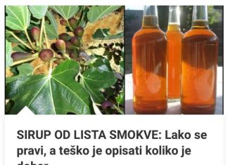 Izraditi opis koji u potpunosti dočarava izniman okus SIRUPA OD SMOKVINOG LISTA pokazalo se kao izazov, unatoč jednostavnoj pripremi.