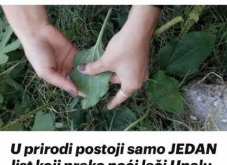 Otkrijte sedam temeljnih uzročnika koji pridonose suhom kašlju i postanite vješti u njihovom prepoznavanju.