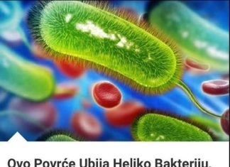 POVRĆE KOJE UNIŠTAVA HELICO BAKTERIJU