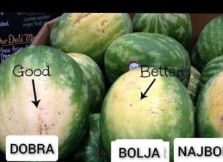 Prepoznavanje zrele lubenice može se obaviti u samo tri jednostavna koraka.