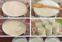 Gusti domaći jogurt napravljen od samo dva sastojka – superiorniji od svega što možete kupiti u trgovinama.