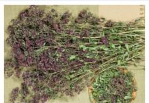 Pobrinite se za sebe uključivanjem šalice ovog čaja dnevno u svoju rutinu.