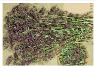 Pobrinite se za sebe uključivanjem šalice ovog čaja dnevno u svoju rutinu.