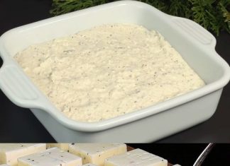 Otkrijte užitak stvaranja vlastitog domaćeg sira u samo 10 minuta pomoću vaše pećnice.