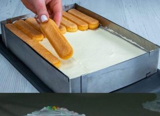 LEDENI KOLAČ SA VIŠNJAMA