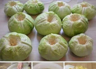 VODIČ O NAJSIGURNIJOJ METODI ZA BERBU KUPUSA, POTPUNO BEZ RIZIKA BEZ FULE….