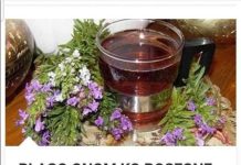 BLAGO ONIMA KOJI ZA NJOM POSEGNU: Ova izvanredna biljka otapa razne vrste kamenaca, pročišćava krv, pomaže kod reume, artritisa i gihta.