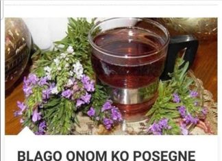 BLAGO ONIMA KOJI ZA NJOM POSEGNU: Ova izvanredna biljka otapa razne vrste kamenaca, pročišćava krv, pomaže kod reume, artritisa i gihta.