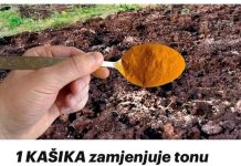 Jedna žlica može zamijeniti puno gnojiva: razbacam ga po vrtu, a onda jedva stignem skupiti tu količinu!