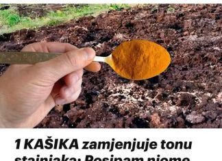 Jedna žlica može zamijeniti puno gnojiva: razbacam ga po vrtu, a onda jedva stignem skupiti tu količinu!