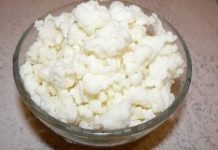 Tibetanska gljiva – Ovaj snažan kefir potiče ozdravljenje, detoksikaciju i revitalizaciju cijelog organizma!