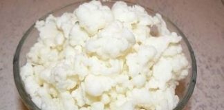 Tibetanska gljiva – Ovaj snažan kefir potiče ozdravljenje, detoksikaciju i revitalizaciju cijelog organizma!