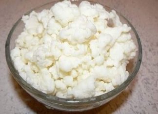 Tibetanska gljiva – Ovaj snažan kefir potiče ozdravljenje, detoksikaciju i revitalizaciju cijelog organizma!