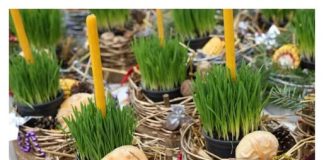 Kaže se da ako se na današnji dan posije božićna pšenica, dom će imati blagoslova za cijelu godinu.