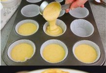 STANDARD SMJERNICE ZA KRUH OD SIRA: MEK POPUT SPUŽVE