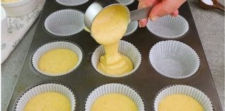 STANDARD SMJERNICE ZA KRUH OD SIRA: MEK POPUT SPUŽVE