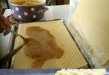 Antikne napolitanke s mlijekom i orasima – napolitanke s karamelom – savršene sa samo 3 sastojka!