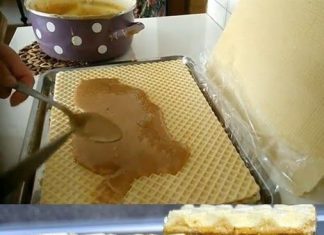 Antikne napolitanke s mlijekom i orasima – napolitanke s karamelom – savršene sa samo 3 sastojka!