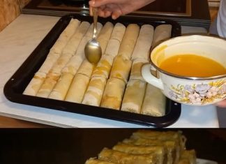 “BAKLAVA OBOGAĆENA PLAZMOM”: OVO MORATE PROBATI JER JE JEDNOSTAVNO UKUSNO!