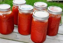 DOMAĆE MLJEVENE RAJČICE ZA ZIMNICU: Nije potrebno kuhati, a mogu se čuvati čak 2 godine.