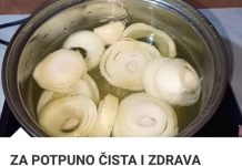 ZA OPTIMALNO ČISTA I ZDRAVA PLUĆA Eliminira sav katran i toksine u roku od 72 sata.