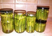 Najbolji recepti za konzervirane hrskave kisele krastavce Konzervirani krastavci su vjerovatno najpopularnija zimska berba.