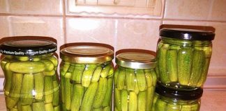 Najbolji recepti za konzervirane hrskave kisele krastavce Konzervirani krastavci su vjerovatno najpopularnija zimska berba.