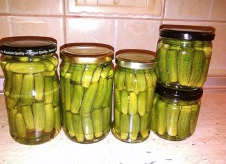 Najbolji recepti za konzervirane hrskave kisele krastavce Konzervirani krastavci su vjerovatno najpopularnija zimska berba.
