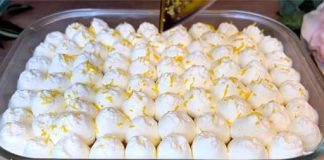 TIRAMISU S LIMUNOM…bogat i sladak desert koji morate iskusiti.