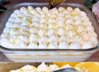 TIRAMISU S LIMUNOM…bogat i sladak desert koji morate iskusiti.