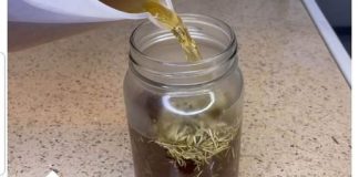 ČAJ ZA BRŽI RAST KOSE – SASTAVLJEN OD KOPRIVE I DVIJE DODATNE BILJE: Lijek za prorijeđenu, rijetku kosu i prekomjerno opadanje!