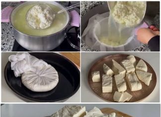 Svježe mlijeko pretvoreno u domaći sir.