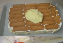 Brza torta od jagoda sa plazma keksom… Nije potrebno kuhanje i pečenje…