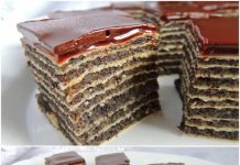 DESERT VRIJEDAN KUŠANJA… NE ZAHTJEVA PEČENJA I DAJE IZNIMAN OKUS.